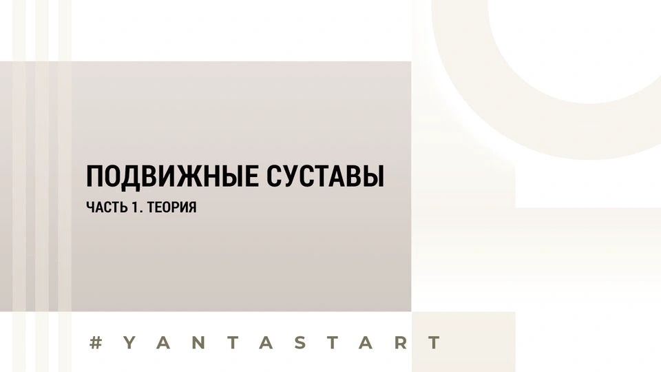 Вебинар 3 | Подвижные суставы | Часть 1